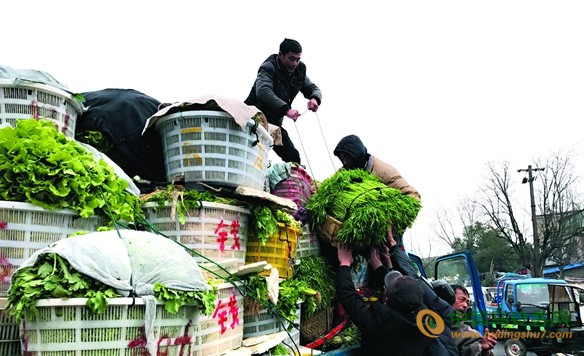 未標(biāo)題-1