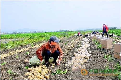 未標(biāo)題-1