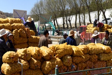 蘭州榆中縣：南種北繁”種薯繁育基地建成 ()