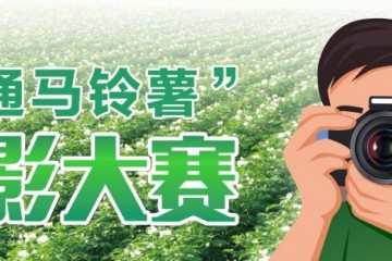 “昭通馬鈴薯”攝影大賽面向全國征集攝影作品，最高獎勵20000元！ ()