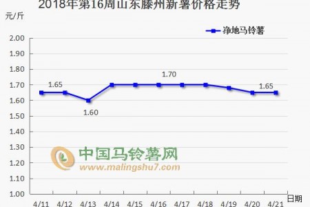 薯市短暫回暖 后期又將如何？ ()