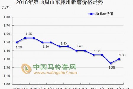 新薯大量上市 薯市能否逆襲？ ()