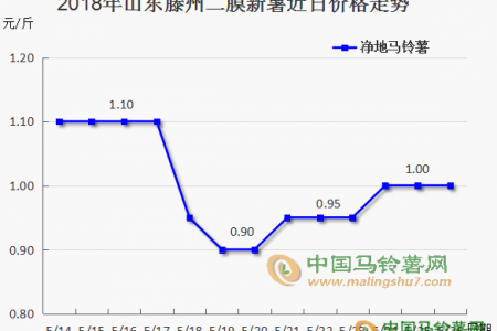 露天薯陸續(xù)入市  6月薯市能否安穩(wěn)？ ()