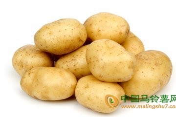 我國土豆單季畝產(chǎn)量破世界紀(jì)錄 ()