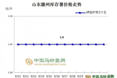 揭秘“產(chǎn)區(qū)新薯為何大批量入庫(kù)” ()