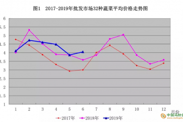 下半年青島蔬菜貴不貴？ ()