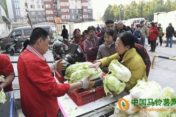 冬儲菜上市 北京蔬菜總體供應充足 ()