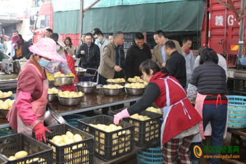 平潭：沙地馬鈴薯測(cè)產(chǎn)驗(yàn)收 ()