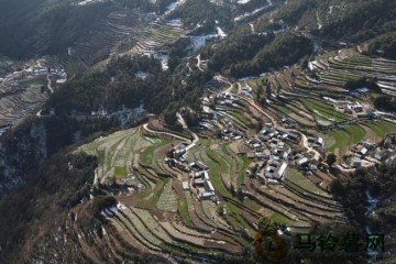 土豆種植助力云南小山村蛻變 ()