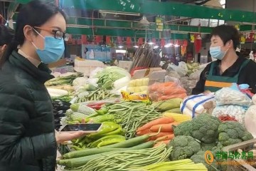 鄭州：蔬菜價(jià)格小幅下降 ()