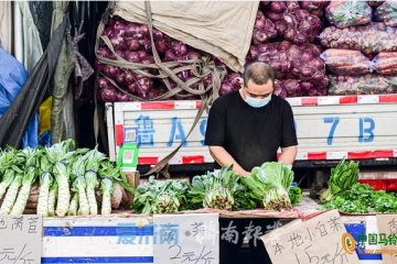 濟(jì)南：蔬菜價(jià)格親民 ()